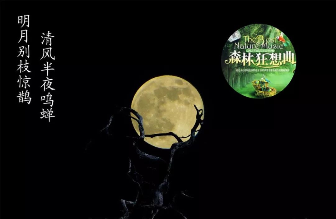 给古诗加音乐,给古诗词配背景音乐