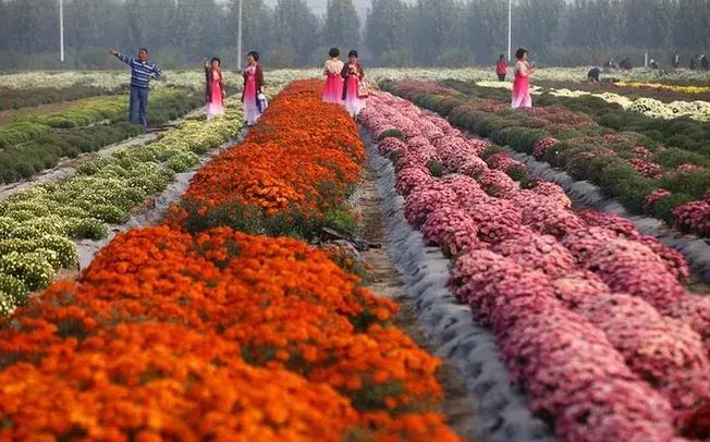 天津10个乡镇入选中央重点名单！这些乡镇重大利好，你入围了没？