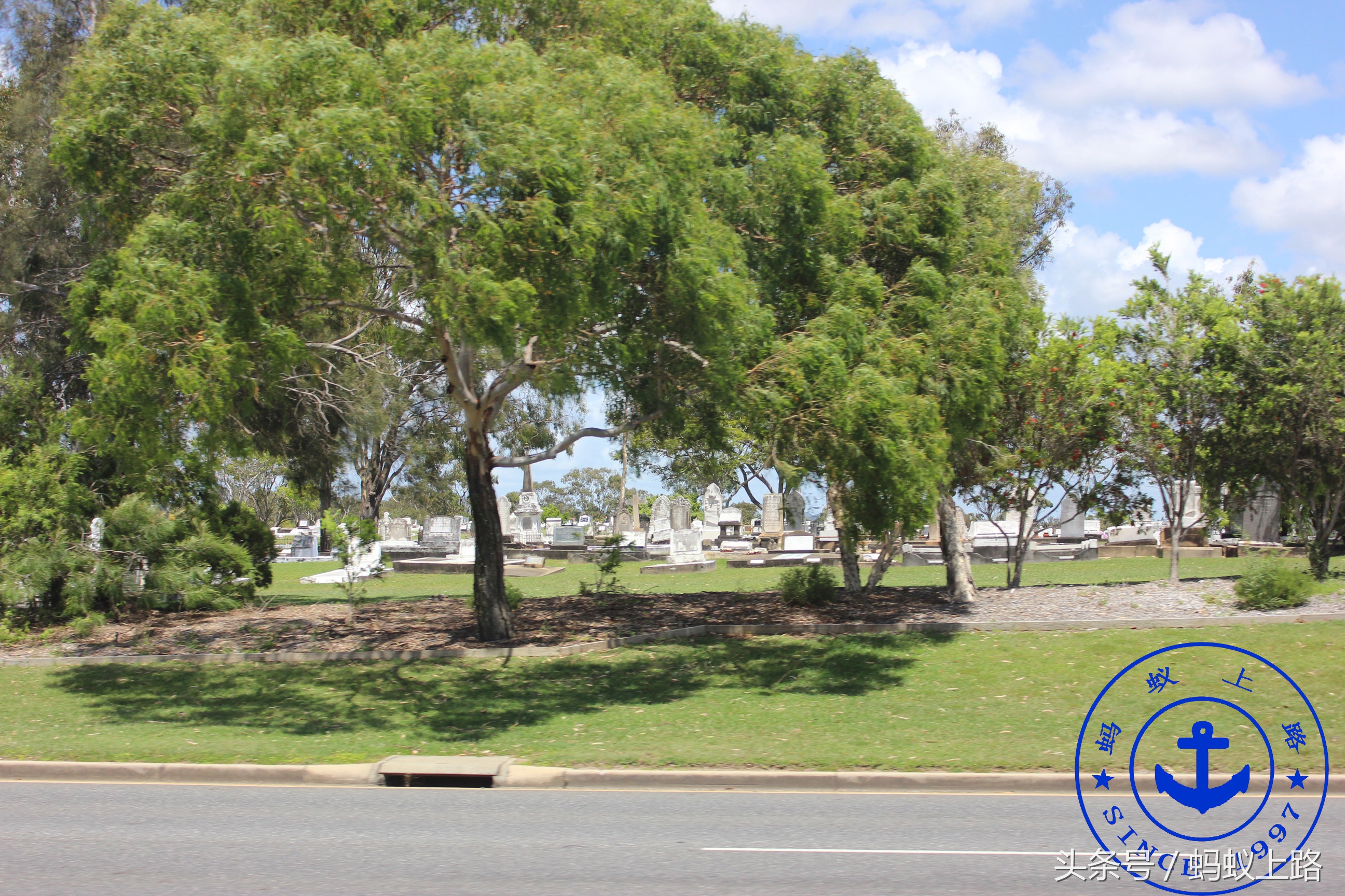 澳大利亚的gladstone在哪装煤,澳大利亚的gladstone