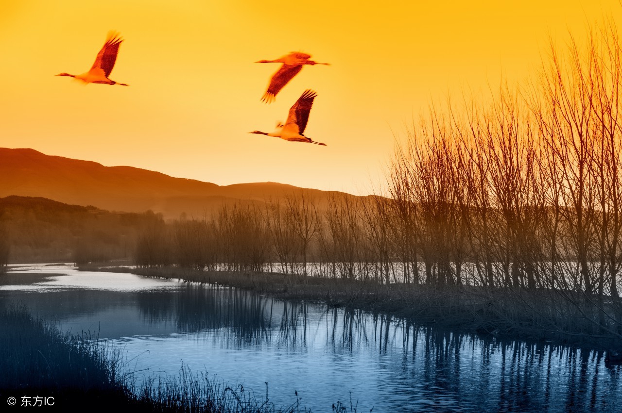 八年级语文课外阅读训练,八年级课外阅读专项练习