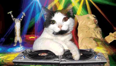 精致猪猪女孩的日常护肤,精致猪猪女孩精心的必备护肤套装