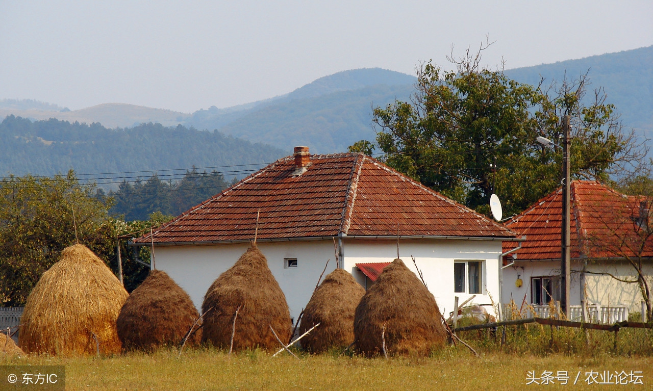 广西农村宅基地确权超面积怎么办,河北宅基地确权2021年规定面积