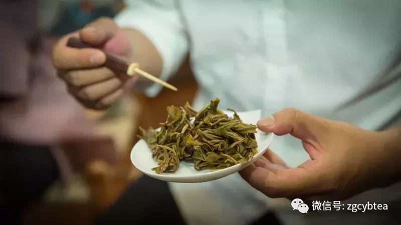 重磅：则道茶业创始人李伟，首度正面回应“曼松”商标维权事件