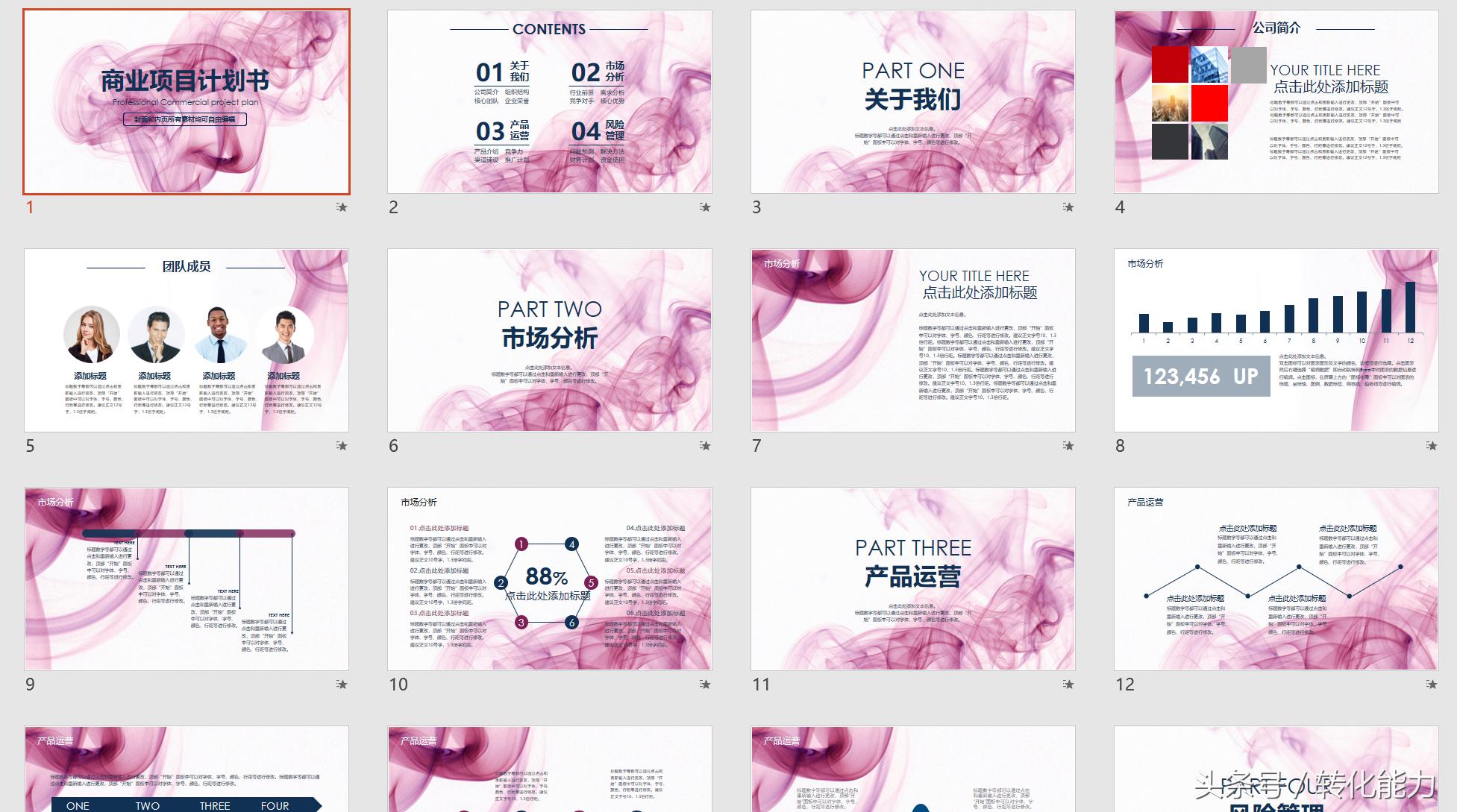 成功融资项目计划书案例,成功投资人的挣钱手册