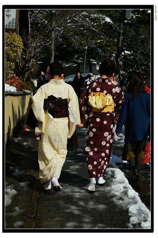 樱花代表浪漫,樱花代表浪漫爱情