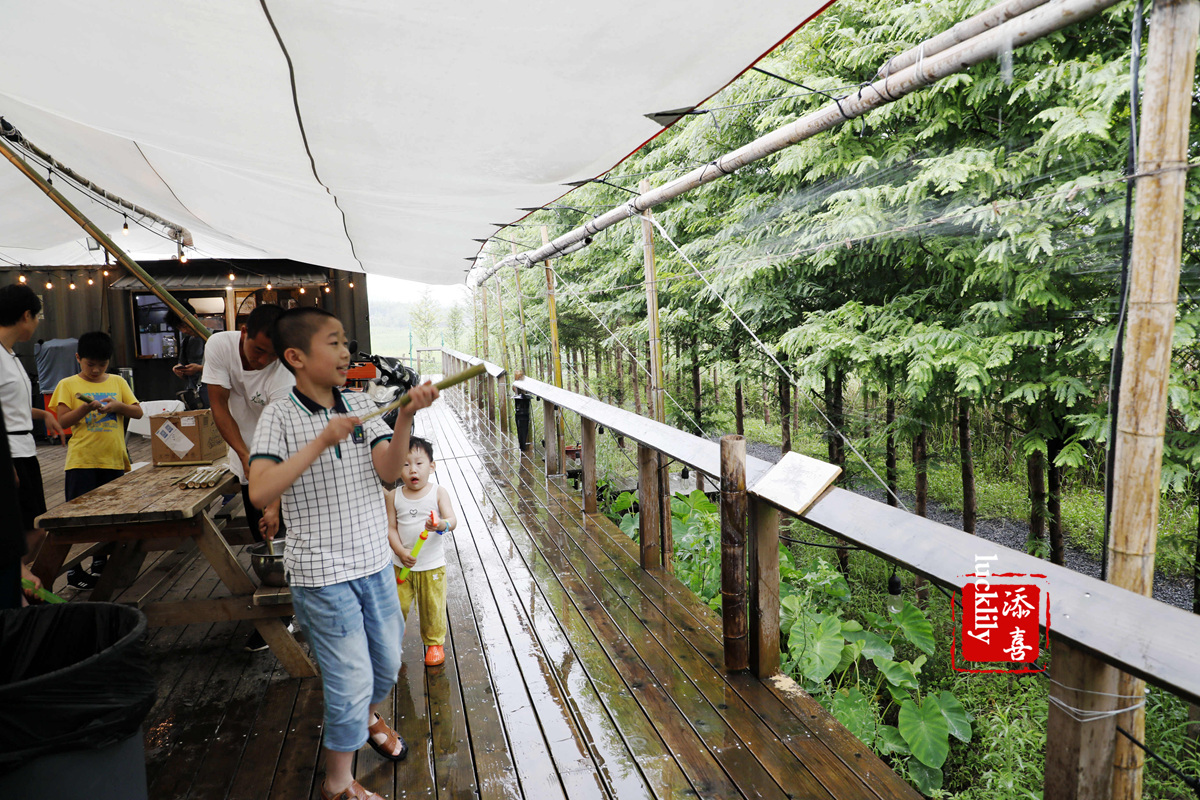 义远农场亲子探险露营：帐篷、萤火虫、足球冰淇淋、竹水枪、采摘