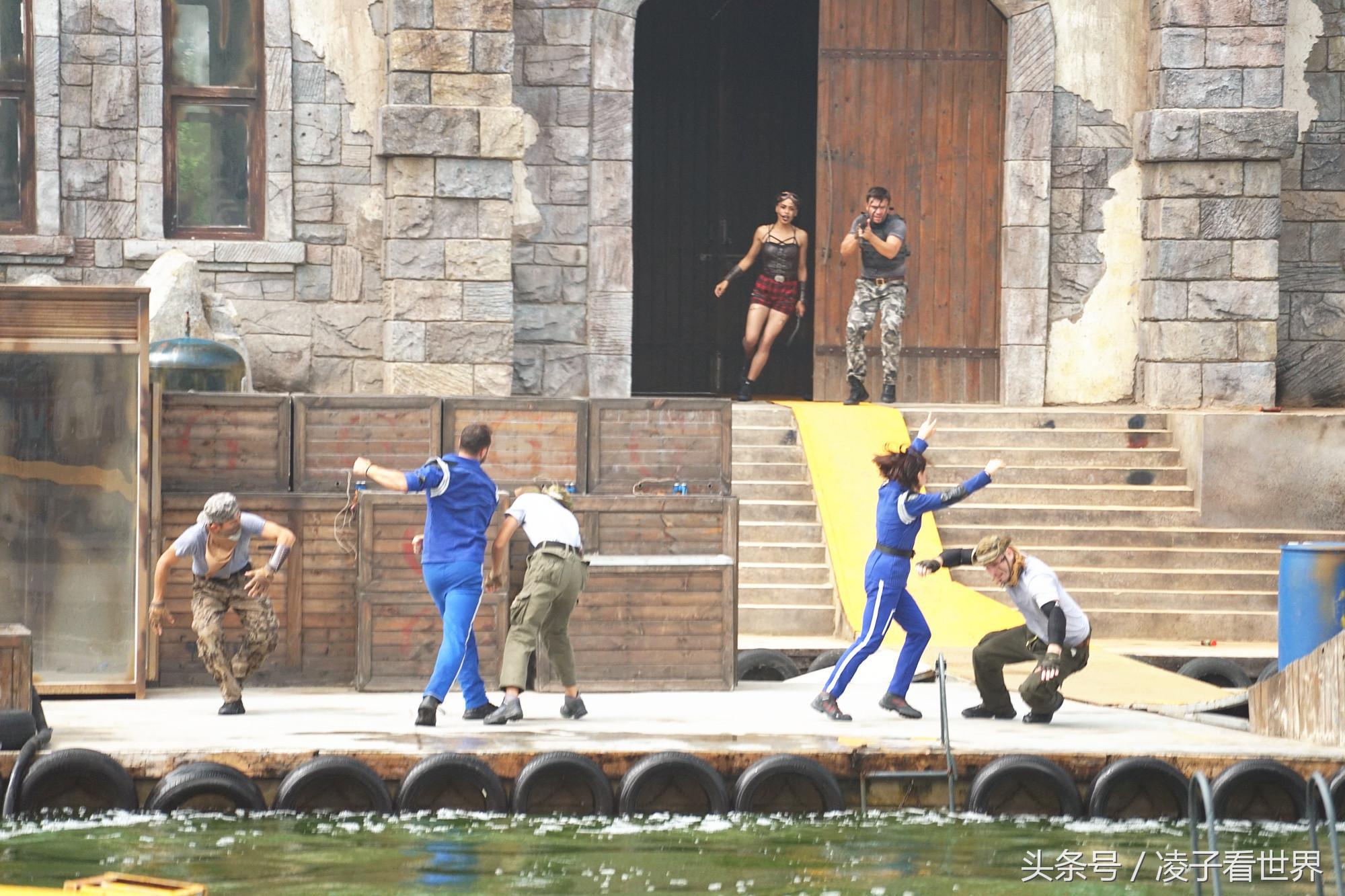 沙滩拾贝壳景区,沙滩花海美景