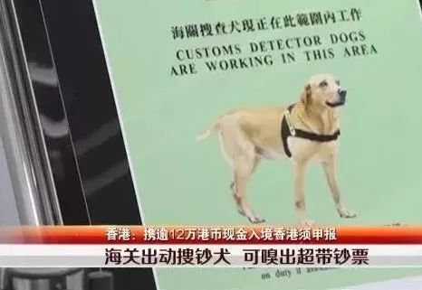 去香港旅游有过治安罚款可以去吗,去香港要注意什么避免罚款