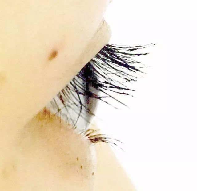 8款热门睫毛膏专业测评，Angelababy最爱的睫毛膏居然垫底了！