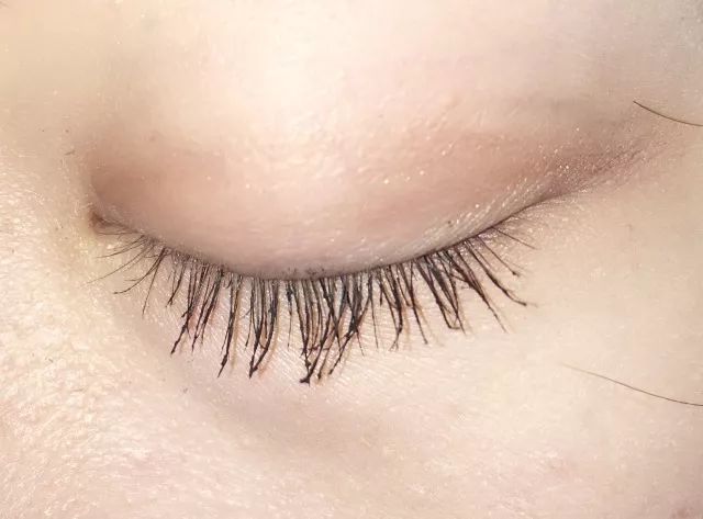 8款热门睫毛膏专业测评，Angelababy最爱的睫毛膏居然垫底了！