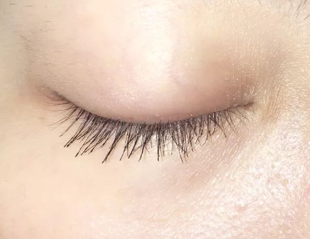 睫毛膏10大品牌推荐,平价卷翘睫毛膏测评