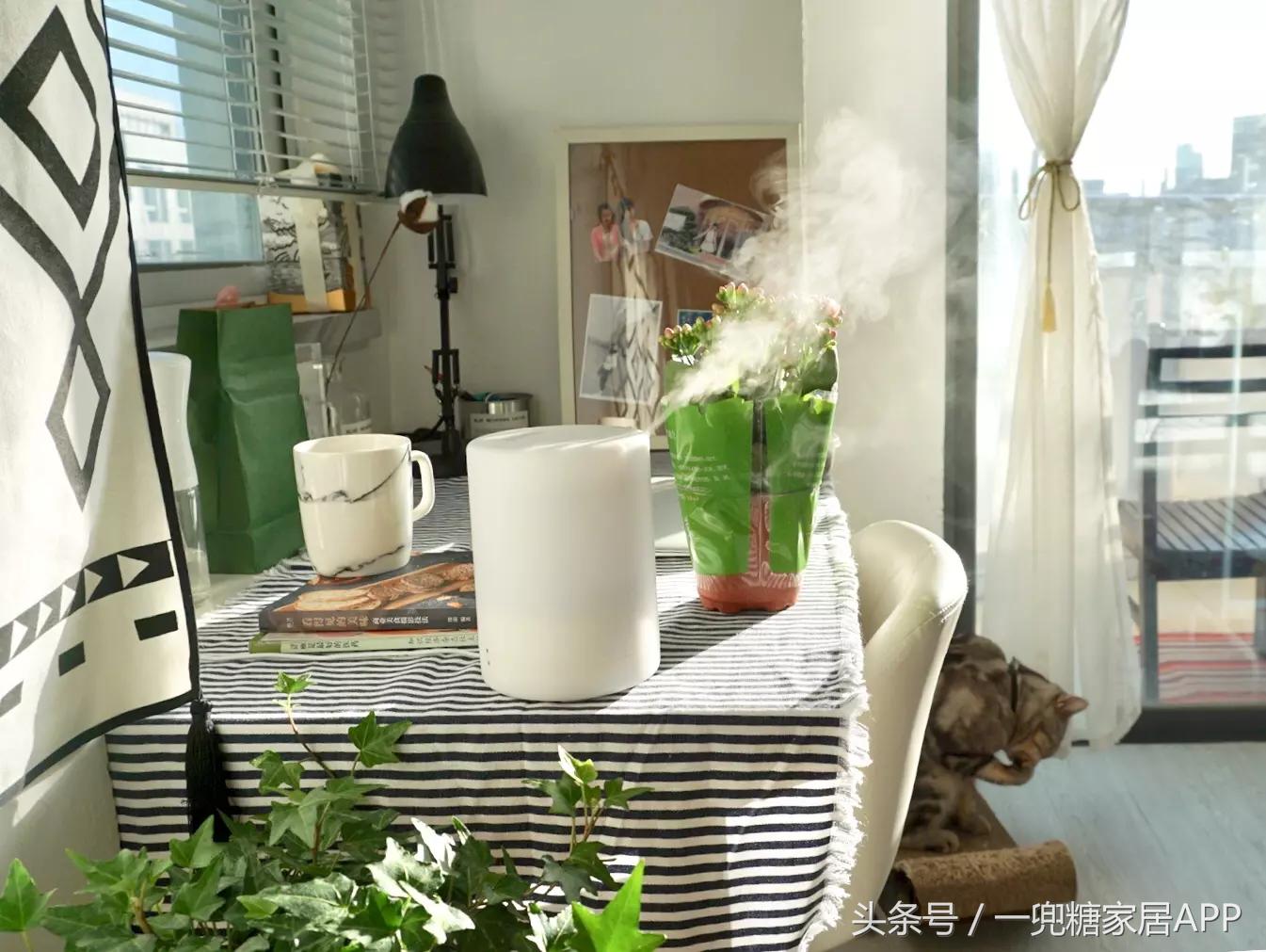 手指褪皮，用坏6对手套，90后美女爆改破旧公寓，是我小瞧你了！