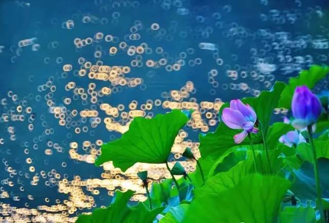 拍水技巧,正确拍水的方法教程