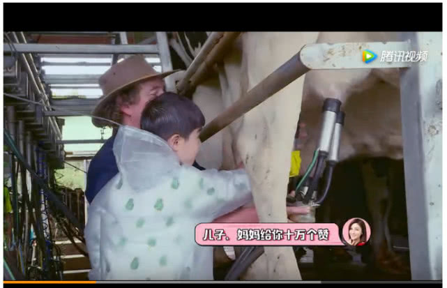 a2奶粉被罚,a2奶粉被央视通报