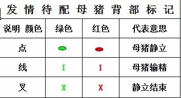 母猪适时输精,母猪直配与人工授精产仔数