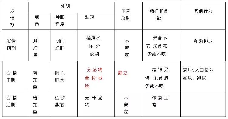 母猪适时输精,母猪直配与人工授精产仔数