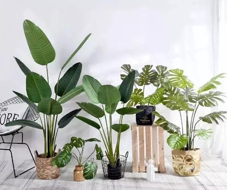 1000元以内出租房改造，就算房子不是自己的，也要活出自己的生活