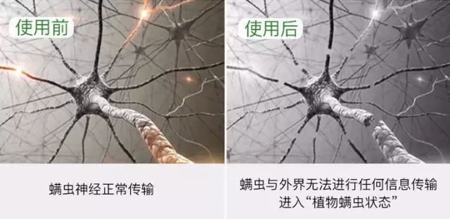 每晚6000000螨虫陪你睡？用它喷一喷，彻底除螨！