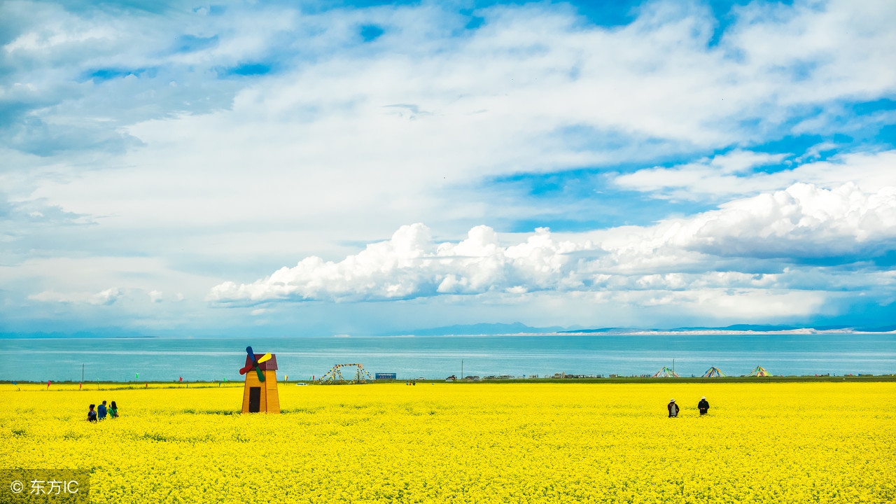 成都去青海湖坐飞机还是高铁,成都去青海湖自驾游攻略最佳路线
