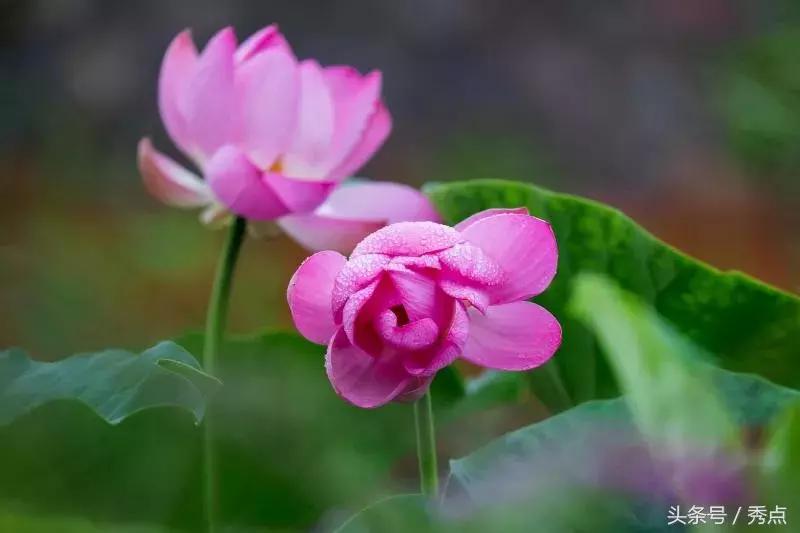铜川清凉玩水的地方,铜川夏日美景