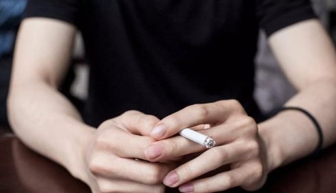 海参那么贵真的有营养吗,海参真正的身价