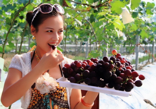 从一首诗带你玩“昌黎”，快来这里旅游