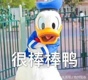 没错，湖南省就是当之无愧的教育大省！