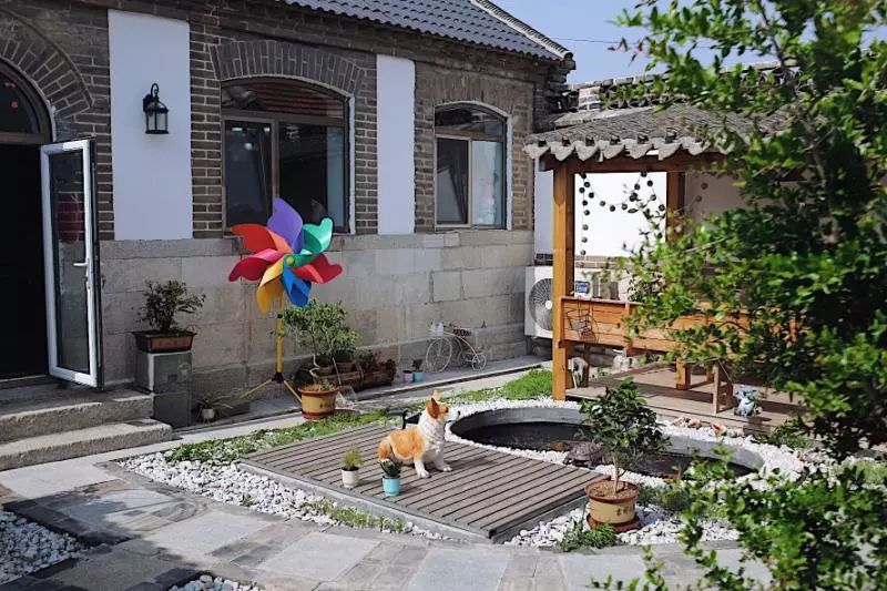 择一处庭院觅一份清幽享一时悠闲,静享时光觅一处幽静之地