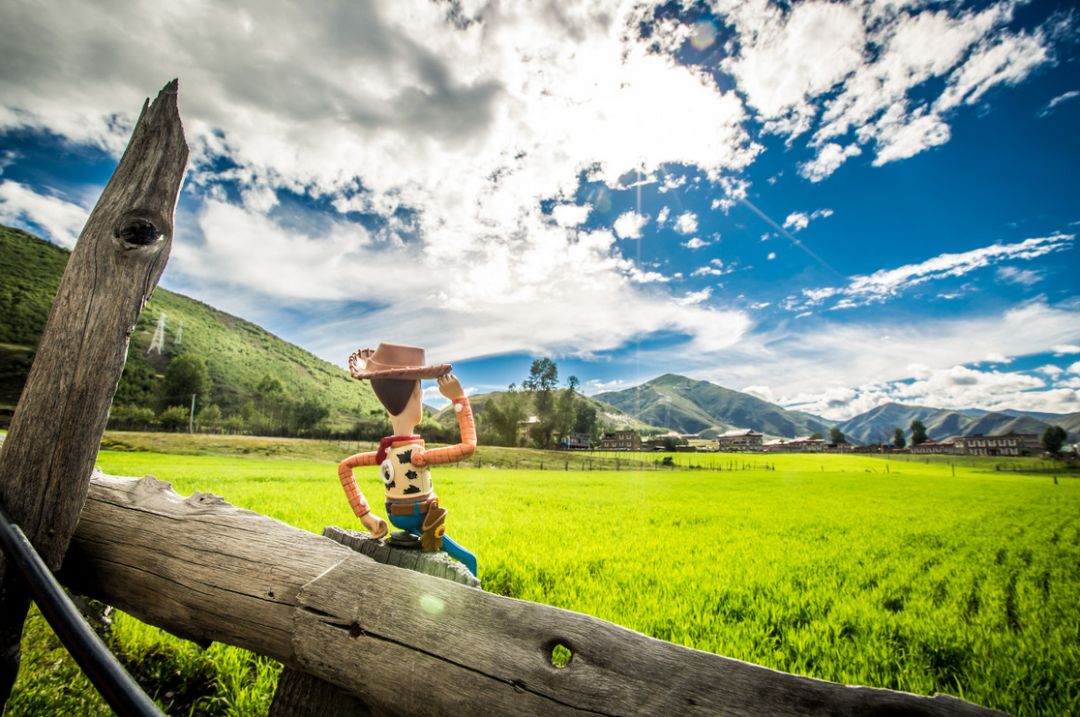 2018下半年如果你来，我会为你献上哈达，说上一句：扎西德勒