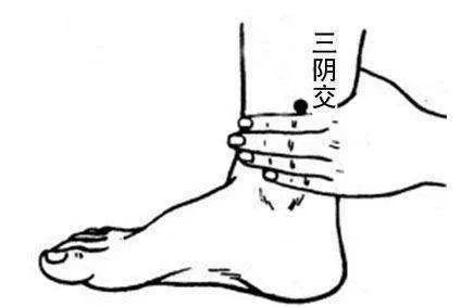 小儿推拿新生儿的舌苔,小儿舌苔薄呈地图状