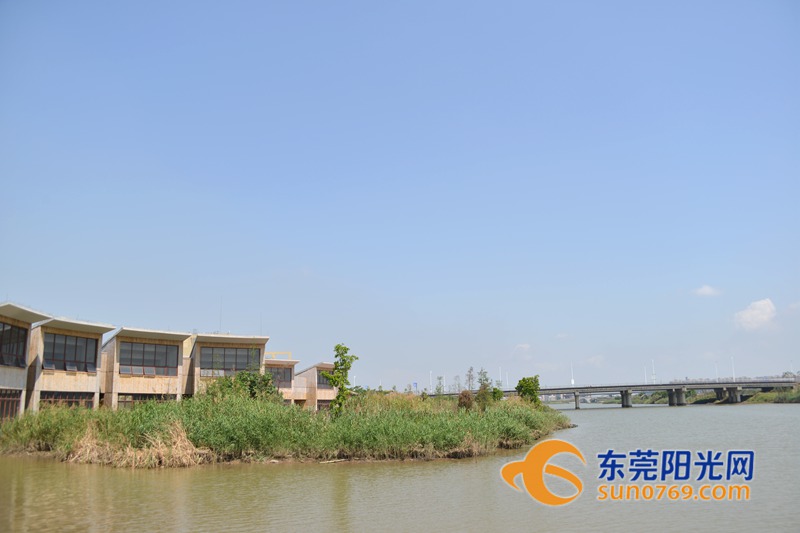 清水绕绿屿，白鹭上青天！沙田这些地方如今变得这么美！