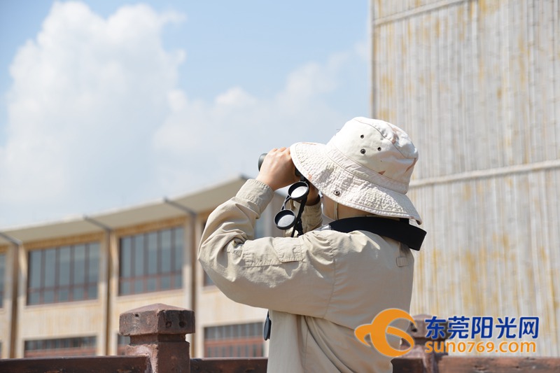 清水绕绿屿，白鹭上青天！沙田这些地方如今变得这么美！