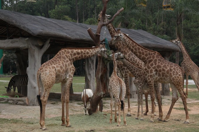 广州3天两夜亲子游,广州亲子游玩4天