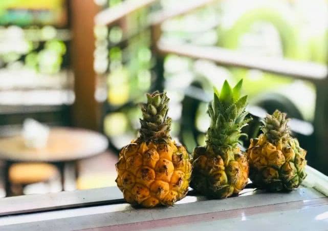 开着奥迪自驾的小姐姐,开着百万奥迪的小姐姐