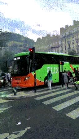 网上热传光天化日抢大巴车行李的视频在法国？被抢的是中国游客？