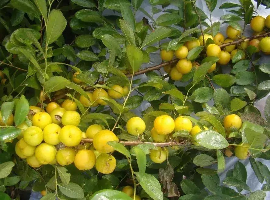 只赚不赔的小本生意大全,利润很吓人的10种生意商机