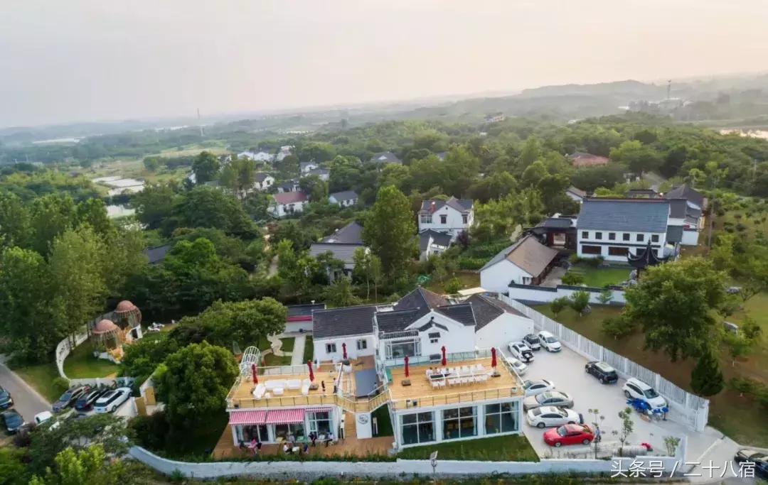 她在南京,南京谷里熏衣草庄园最佳观赏期