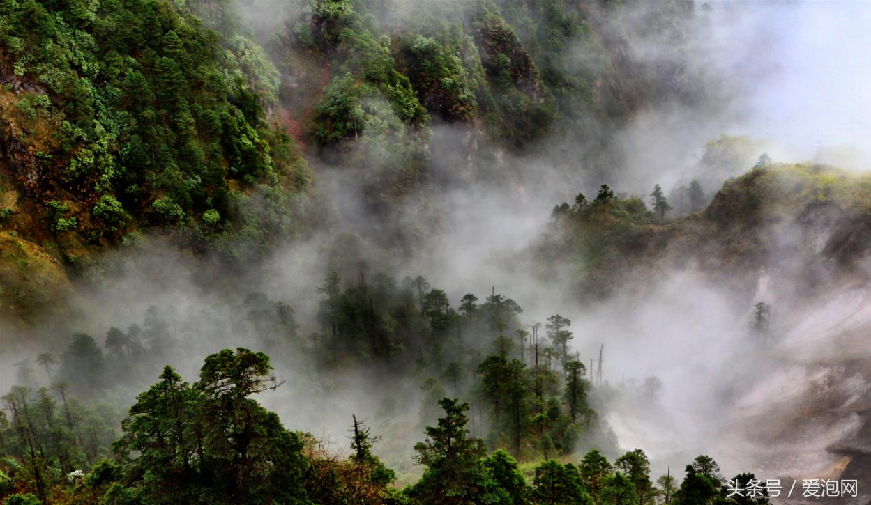 四川西岭雪山自驾游攻略,西岭雪山四川旅游攻略