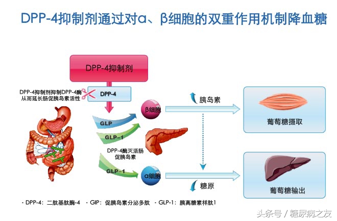 糖尿病神药达格列净,最新糖尿病用药一周一次