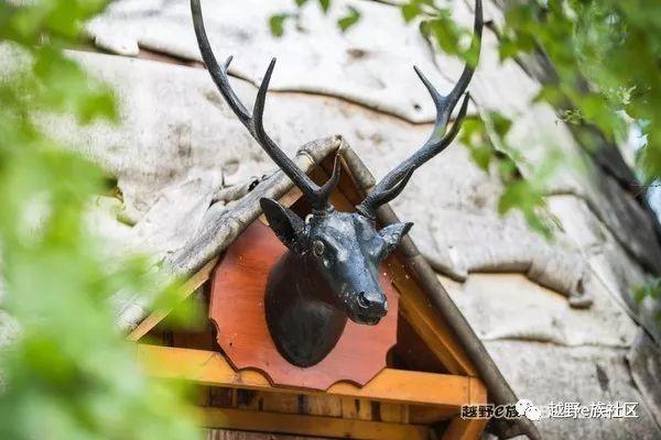 无法忘记的第一次草原之旅,一生必去一次的草原