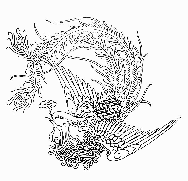 凤凰白描线稿图,百鸟之王凤凰图片唯美