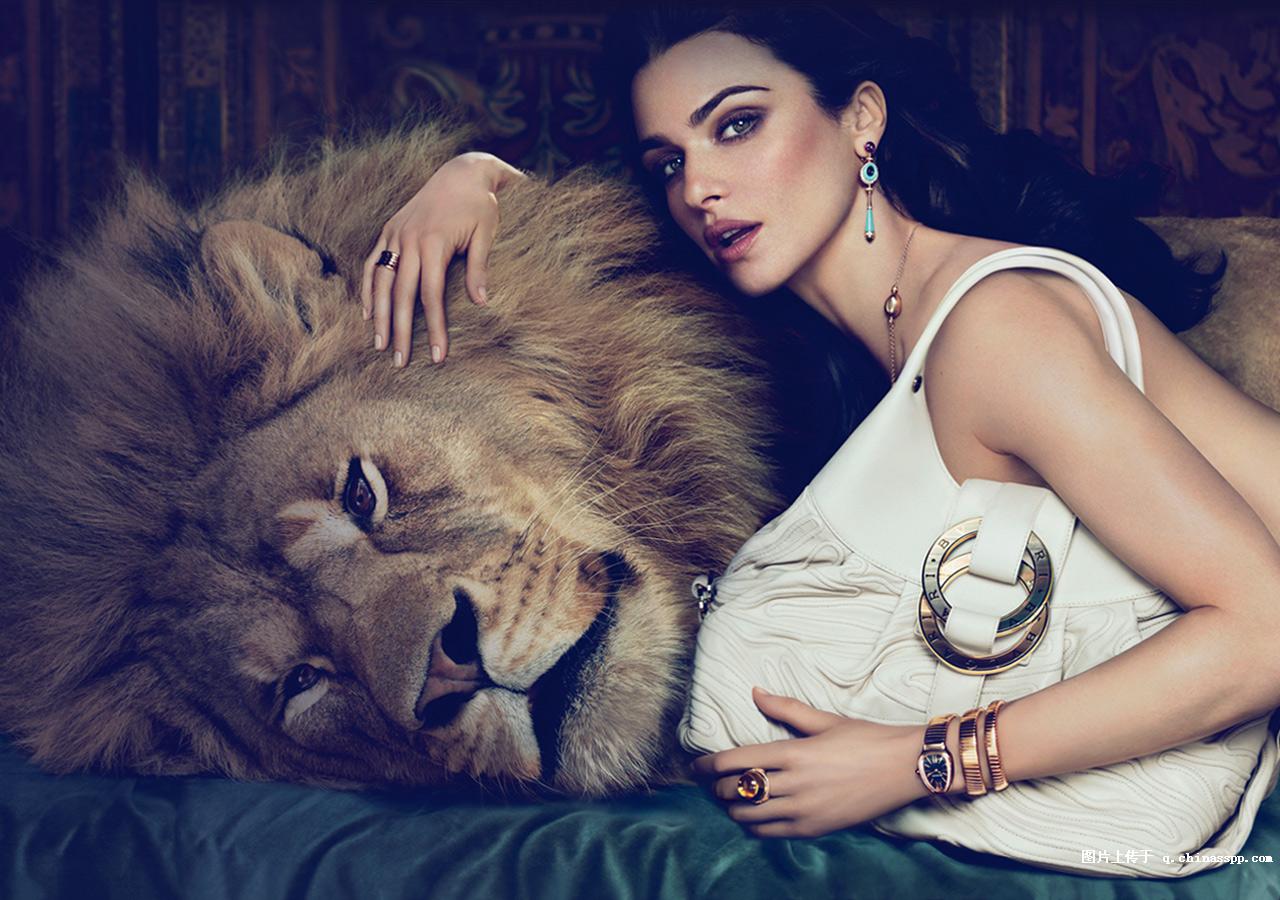 高贵上档次格子裤子宝格丽,高贵与优雅的宝格丽紫