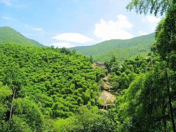 大暑去乡下避暑方法有哪些,大山深处夏季避暑的好地方