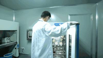 冲马桶，盖？还是不盖？实验结果惊到所有人······