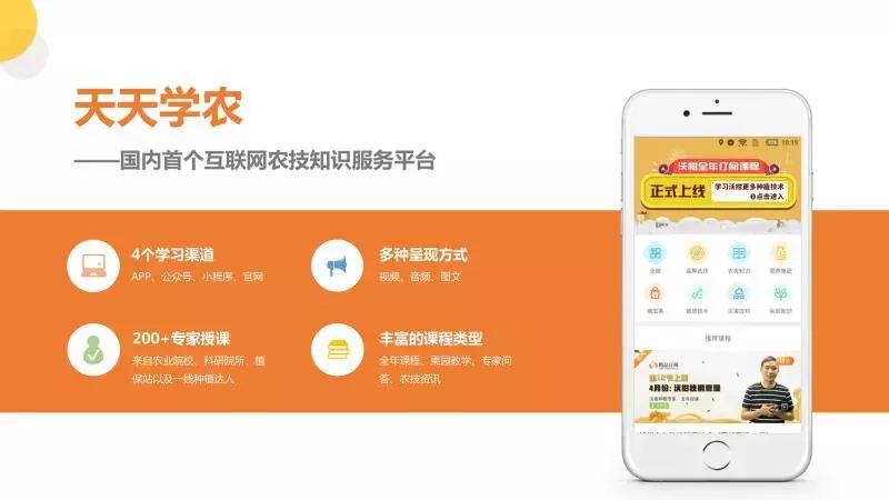 柑橘丰收最快方法,天天学农钟善东柑橘修剪理论