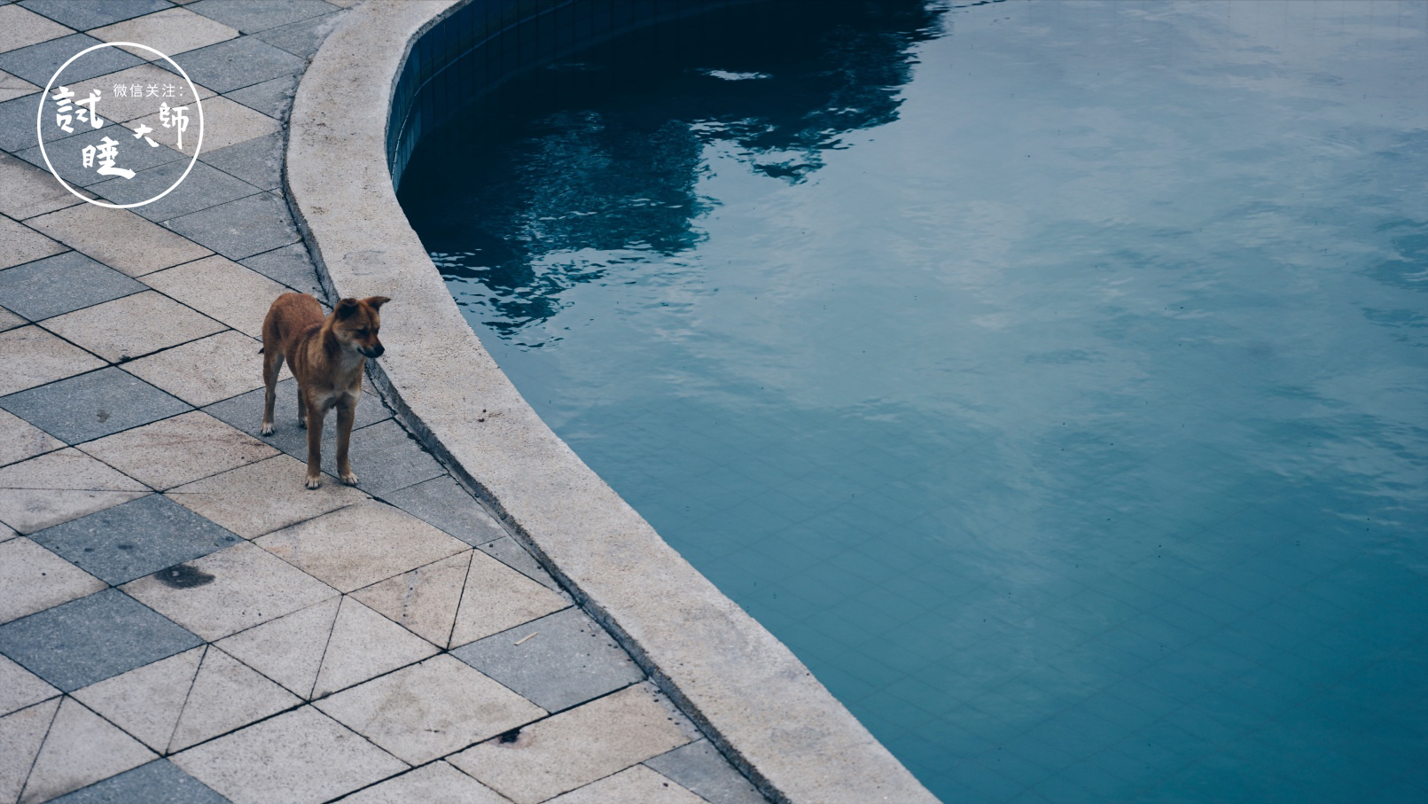 在梯田做成的无边泳池里游泳，私奔去这个隐秘山谷民宿做回野孩子