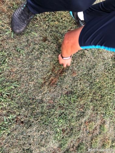 建业vs申花,申花vs建业最新预测