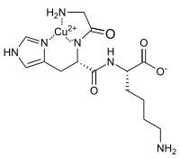 多肽恩仇录——谈谈护肤品中的多肽