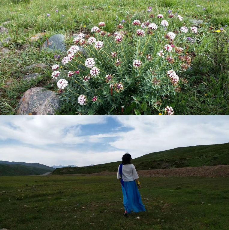 「词风雅韵」马晓琼｜缱绻于斯天地宽且散闲愁去