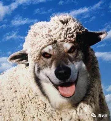 医药未解之谜34个问题,揭秘医药背后的秘密